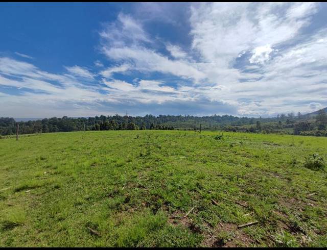 LAND FOR SALE IN WINTERSKLOOF